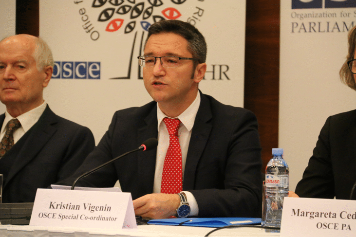 Кристиан Вигенин: На изборите за президент Грузия показа зрялостта на своята демокрация