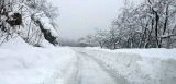 Ограничено е движението на всички автомобили по път II-74 Търговище - Дралфа, поради бурен вятър, снегонавявания и намалена видимост