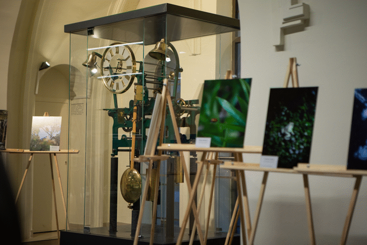 „Роди се звезда“ с театър § фотография през октомври