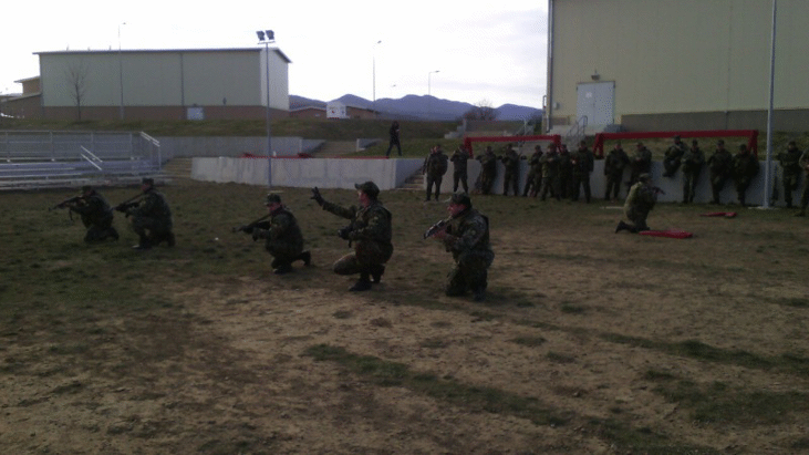 Висши офицери,  дипломати и журналисти ще наблюдават заключителния етап на многонационалната съвместна подготовка “PLATINUM LION” 17-1