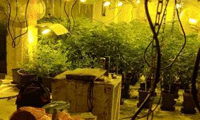 МВР