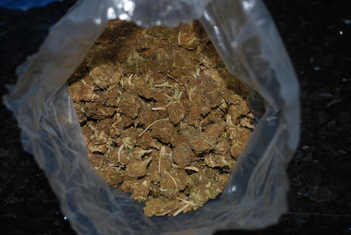 Сливенски полицаи иззеха наркотични вещества при спецакция