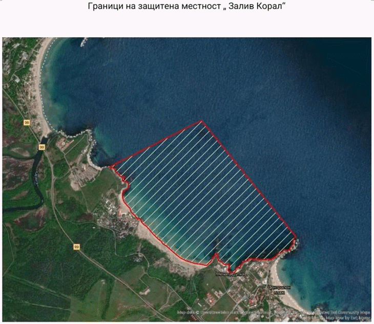 Министерството на околната среда и водите обяви защитена местност "Залив Корал"
