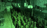 МВР