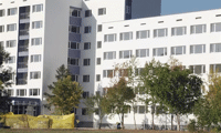 МВР