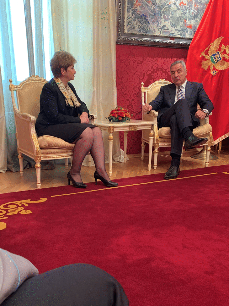 Връчване на акредитивни писма от посланик д-р Меглена Плугчиева