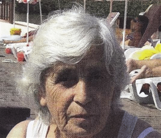 Полицията продължава да издирва Веселина Филибонова