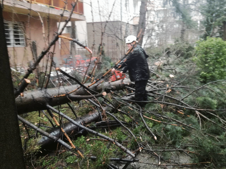 Аварийните екипи са отреагирали на над 80 сигнала след вятъра и дъжда