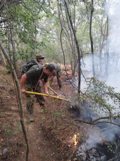 Сухопътни войски оказват помощ в борбата с пожара в землището на село Михилци, Община Хисаря