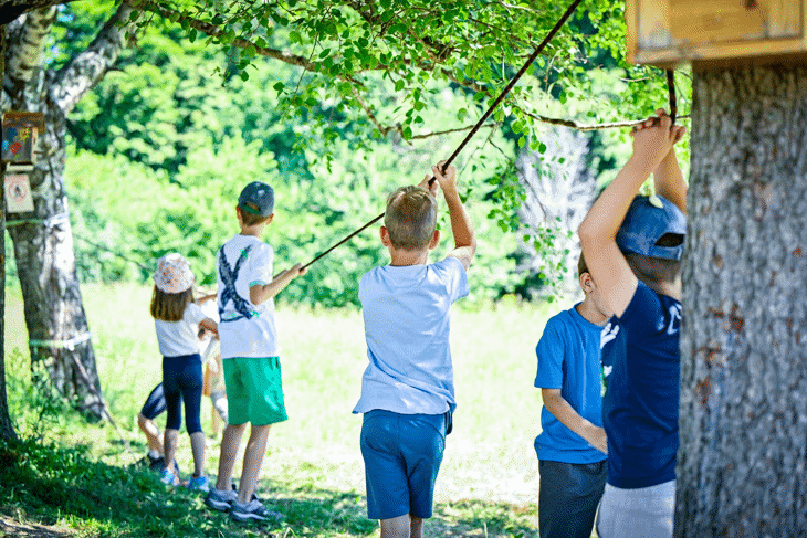 Витоша става класна стая на открито за децата на София - стотици малчугани ще учат и играят сред природата през лятото