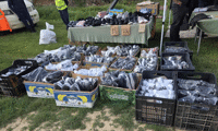 МВР