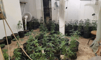МВР