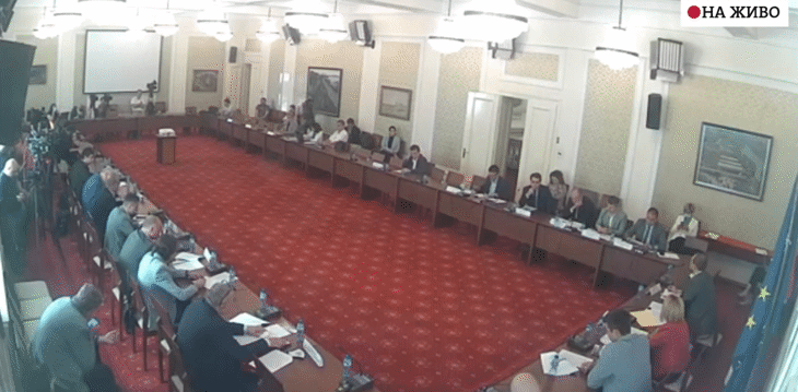 Заседание на Комисията по ревизия в Народното събрание с участието на Лора Георгиева и Бойко Станкушев от Антикорупционния фонд.