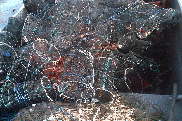 Иззети са 300 метра бракониерски мрежи за улов на калкан