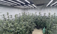 МВР