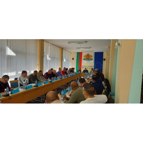 Държавната агенция за закрила на детето организира втора междуинституционална среща по проблемите на детските бракове и раждания
