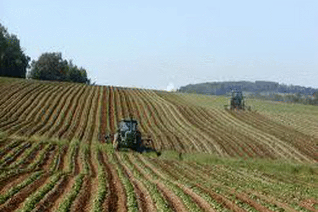Започна приемът на заявления по подмярка 4.1 „Инвестиции в земеделски стопанства“ от ПРСР 2014-2020