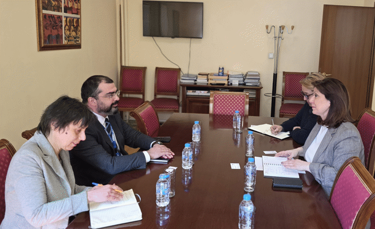 Омбудсманът пред ОССЕ : липсват реални условия за упражняване на избирателните права на хората с увреждания