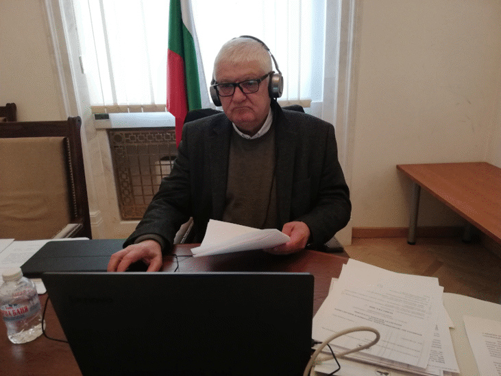 Членовете на Постоянната делегация на Народното събрание в Парламентарната асамблея за Черноморско икономическо сътрудничество участваха в заседания на три от работните комитети на Асамблеята