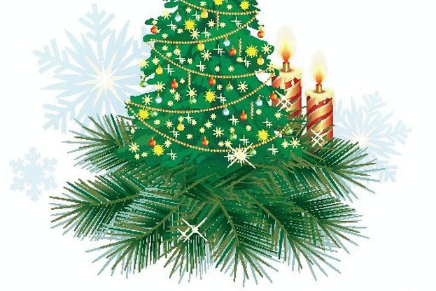 Кампанията „Купи жива елхичка, помогни на дете!” събра 15 000 лв.