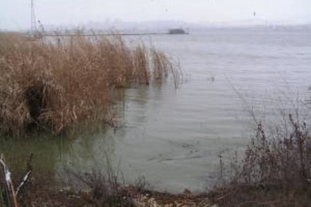 Километър бракониерски мрежи са иззети от езеро “Мандра”