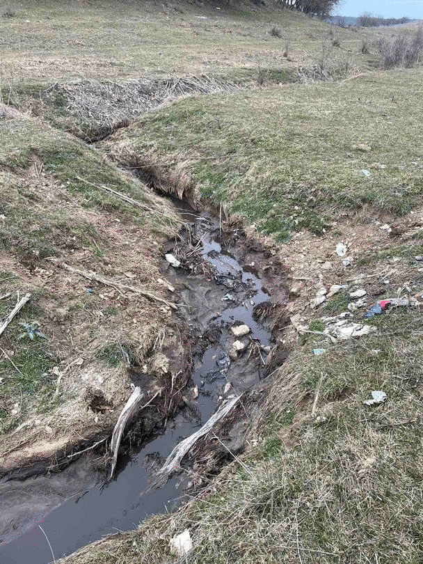 РИОСВ-Варна извърши проверка по сигнал за мъртва риба в язовир „Засмяно”