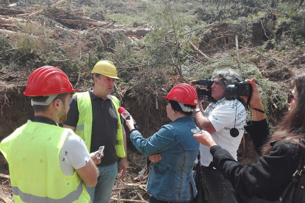 Зам.-министър Добрев:  Усвояването на повредената иглолистна дървесина върви по график