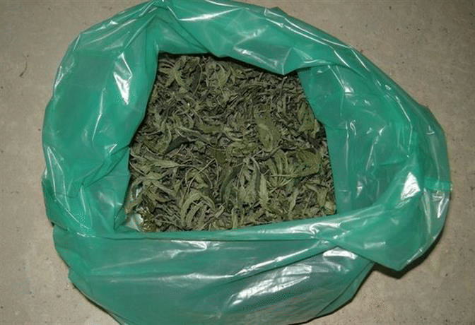 Криминалисти от ОДМВР – Габрово откриха и иззеха над 1 кг марихуана
