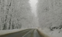 АПИ