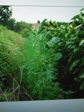 Успешна реализация на служителите на РУ-Полски Тръмбеш