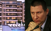 Биволъ