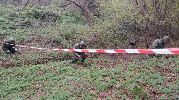 Общо 1300 дка са прочистени в района на завод „Миджур“ от военнослужещи от Сухопътните войски