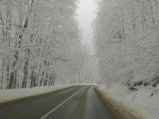 Ограничено е движението на МПС над 12 т по път  І-4 Велико Търново-Шумен, поради снегопочистване на АМ "Хемус"