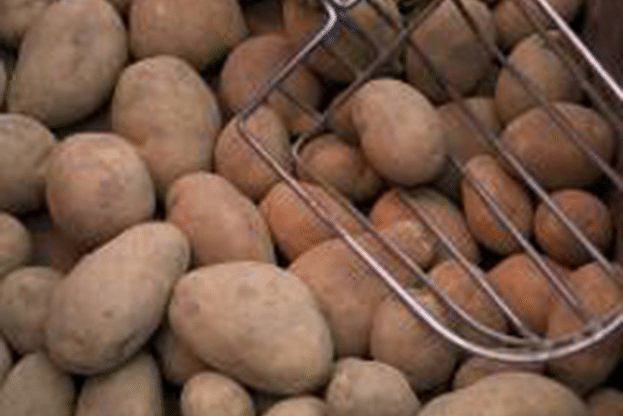 Открива се предварителен прием по Държавна помощ за картофи от 1 април