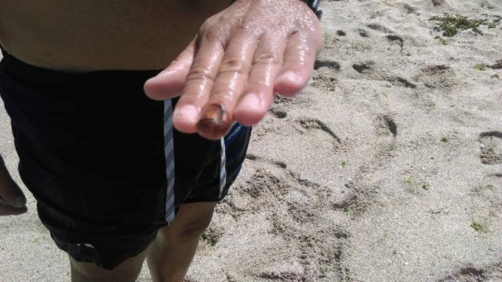 РИОСВ-Бургас и басейнова дирекция проверяват сигнали за замърсяване на плажовете на Созопол