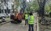 Столична община се включва в почистването на Бургас с техника за преработване на паднали клони и дървета СО