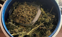 МВР