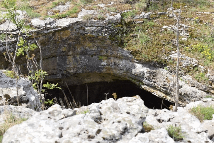 Няма констатирани нарушения при извънредната проверка на ПЗ „Гълъбарника“