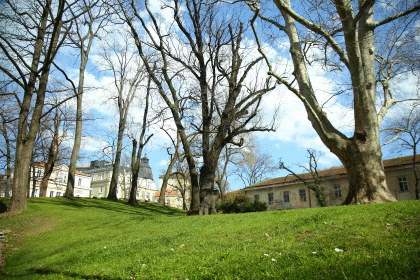 Продължава извършването на дейности по машинно миене и метене в града