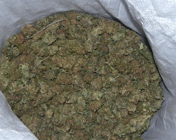 Служители на РУ –Елхово иззеха 30 кг марихуана