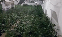 МВР