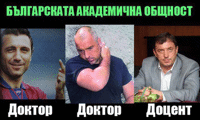 Биволъ