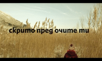 МТ