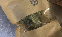 МВР