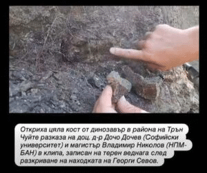 Нови открития от находището на динозаври в района на Трън