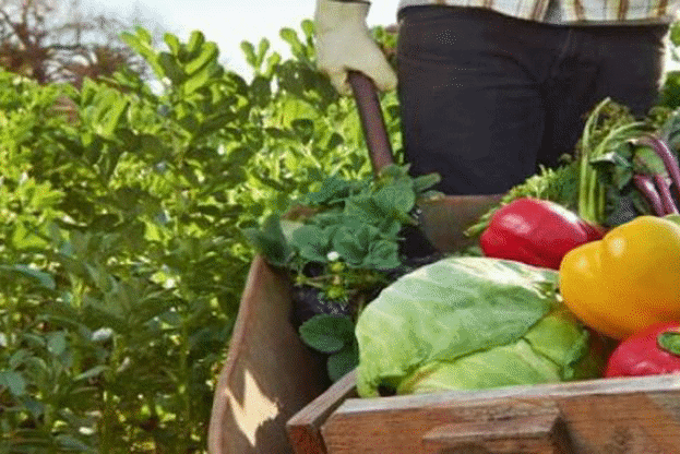 Малките земеделски стопани получиха по-рано от обявените срокове над 7,5 млн. евро