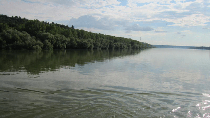 Беседи за Дунав с деца от летните занимални организира РИОСВ – Велико Търново