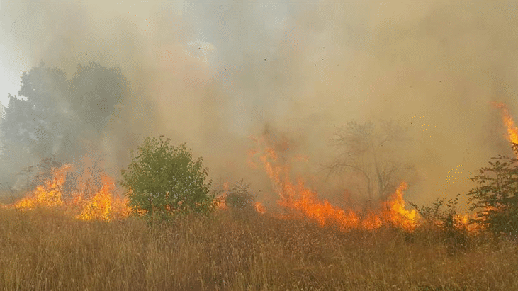 Пожарникари от различни служби в област Благоевград са включени в гасенето на пожара в землището на с. Мечкул