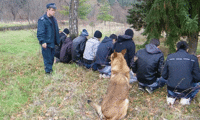МВР