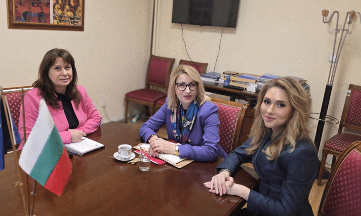 Омбудсманът и заместник-омбудсманът се срещнаха с изследователски екип по темата за домашното насилие
